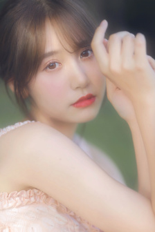 决战燕子门下载